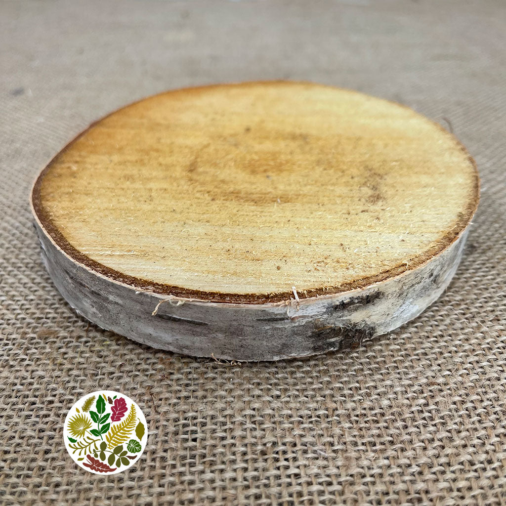 Birch &#39;Slices&#39; (Round) (DRY) (Various Sizes)