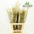Fern 'Asparagus' (Painted) 85cm (Various Colours) (x50)