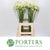 Agapanthus White 'White Heaven' (Various Lengths)