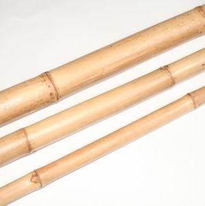 Bamboo &#39;Laquered&#39; (DRY) (Various Sizes)