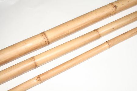 Bamboo &#39;Laquered&#39; (DRY) (Various Sizes)