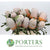 Protea 'Banksia' (Prionotes) (Various Lengths)