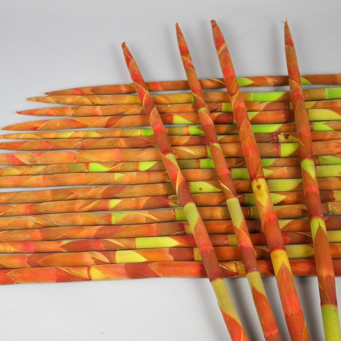 Pokers Agaresi 80cm (x5)