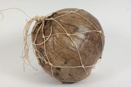 Coconut &#39;Shells&#39; (DRY) (Various Sizes)