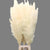 Grass 'Pampas' (x8) 'Silver Star' (Bleached) (DRY) (Various Sizes)