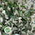 Cotoneaster 'Foliage' (Oval leaf Silvery) (Wild) (Various Sizes)