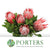 Protea 'Cynaroides' (Clair) (Various Lengths)