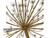Hogweed 'Giant' (Natural) (DRY) (Various Sizes)