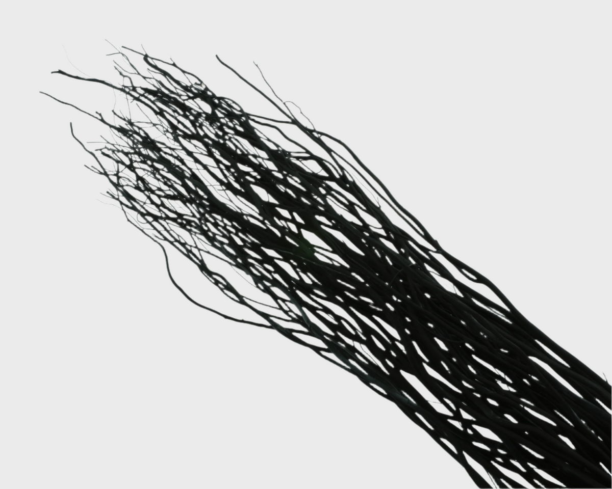 Twigs &#39;Willow&#39; 120cm (x50) (Black) (Bleached/Painted) (DRY)