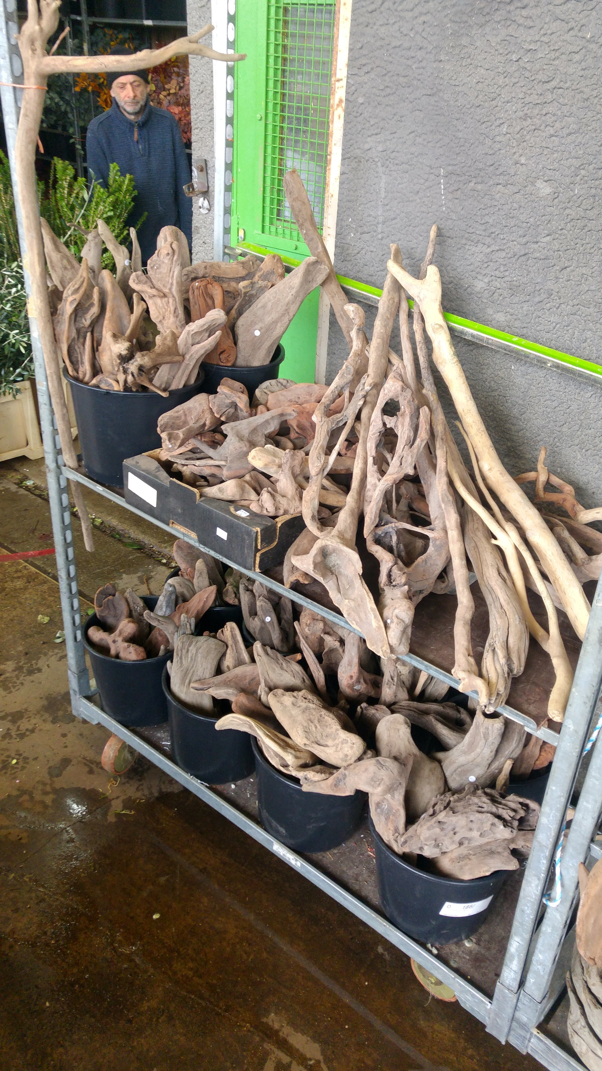 Driftwood 'Pieces' (Natural) (Various Sizes)