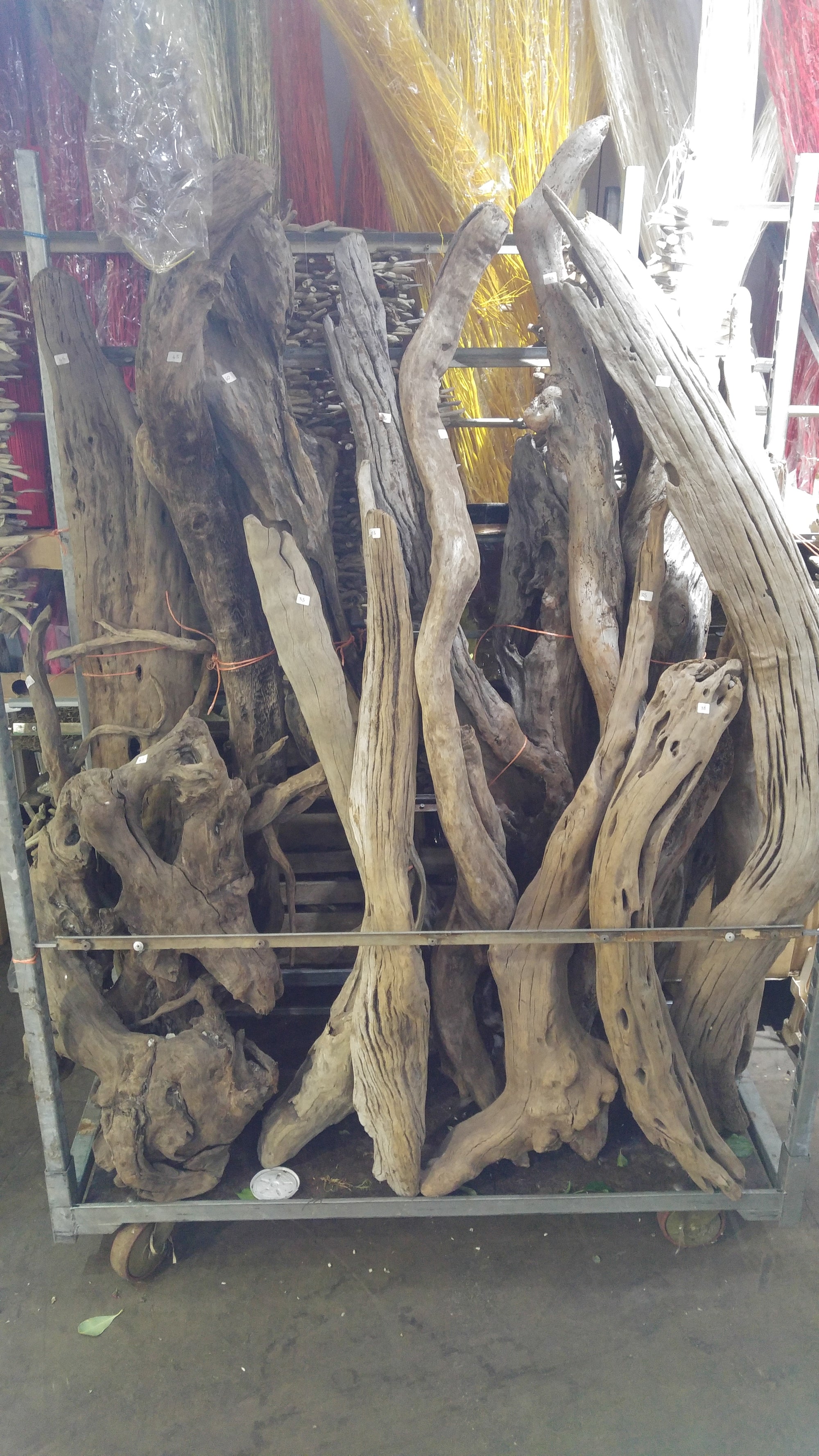 Driftwood 'Pieces' (Natural) (Various Sizes)