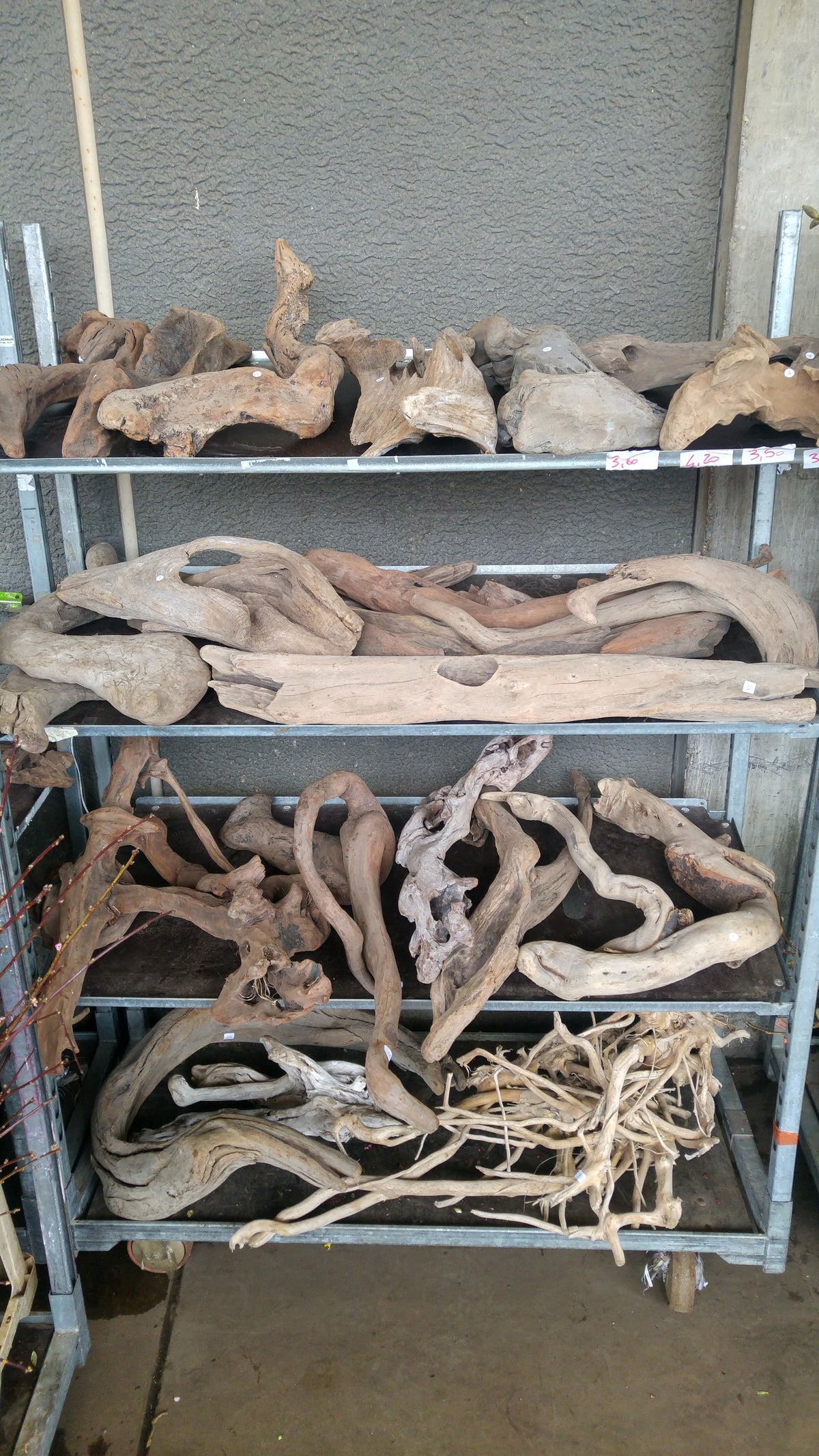 Driftwood &#39;Pieces&#39; (Natural) (Various Sizes)