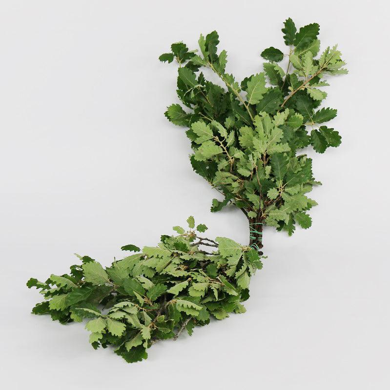 Oak &#39;Foliage&#39; (Natural Italian) (400g)