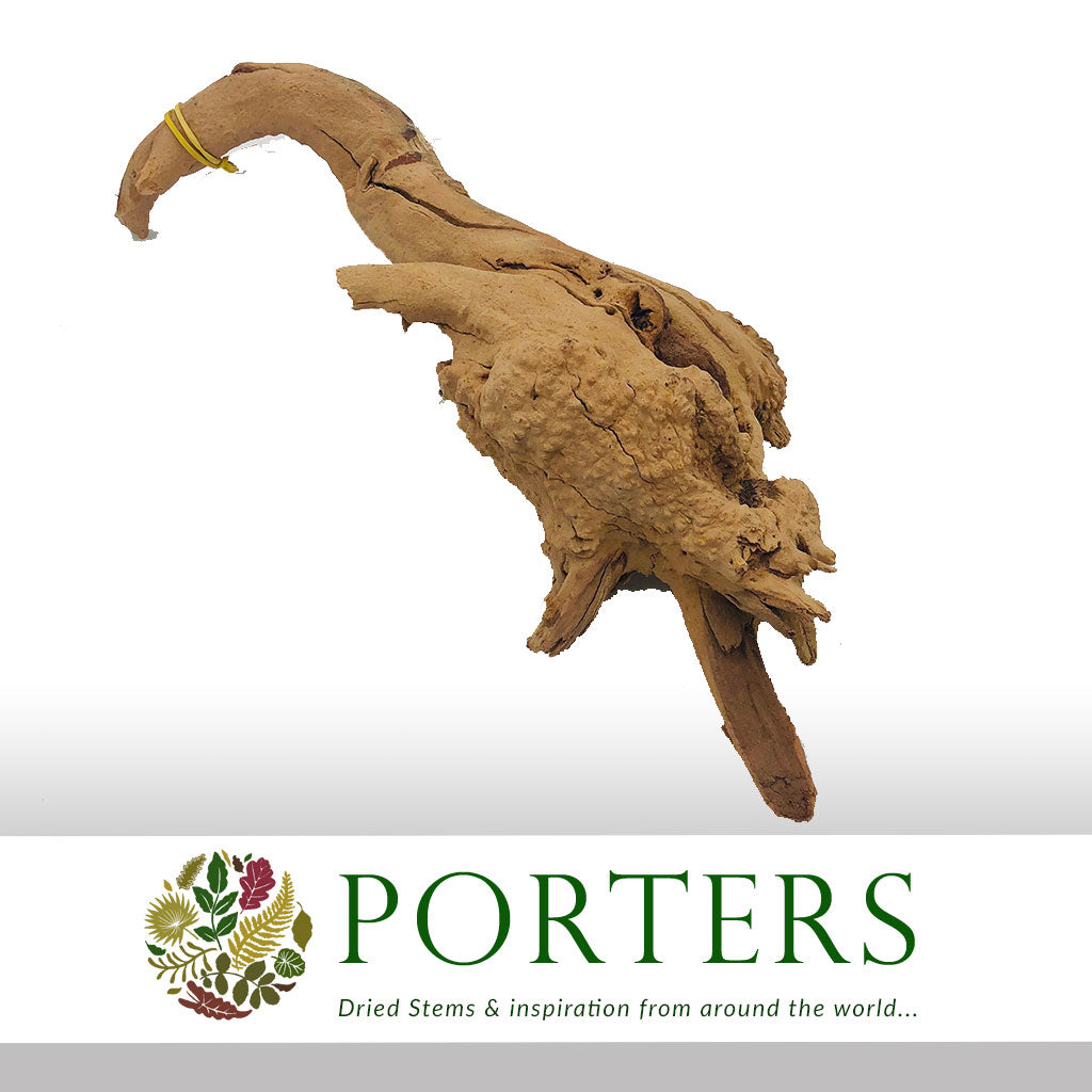 Erica Wood &#39;Root&#39; (DRY) (Various Sizes)