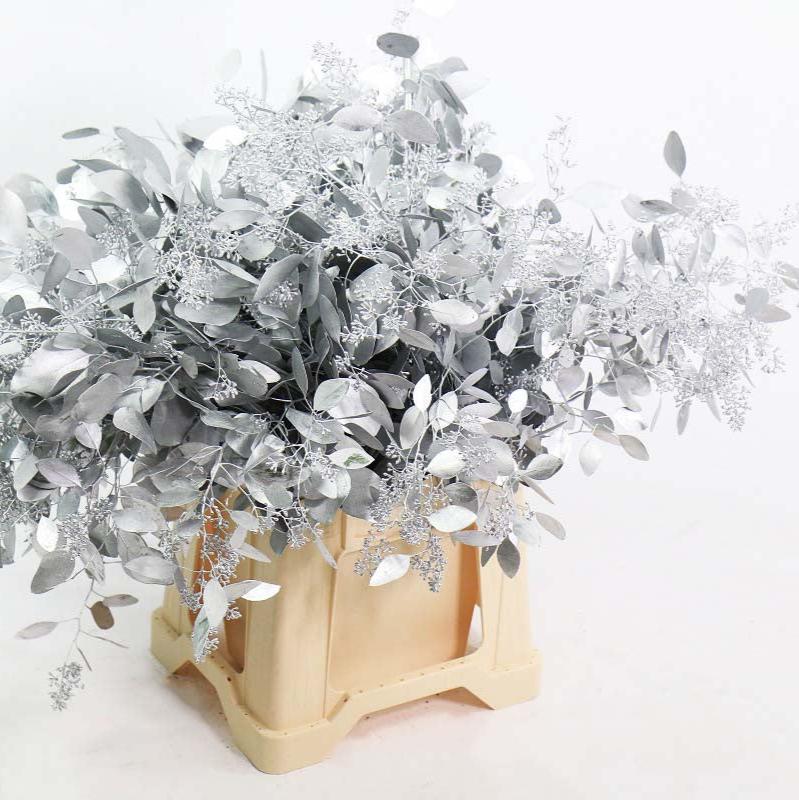 Eucalyptus 'Populus Berried' (Painted) (Various Colours) (200g)