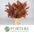 Eucalyptus 'Stuartiana' (Stabilised) (Coloured) (DRY) (Various Colours)