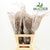Fern 'Asparagus' (Painted) 65cm (Various Colours) (x50)