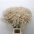 Grass 'Stipa' (Natural) (DRY) (Various Sizes)