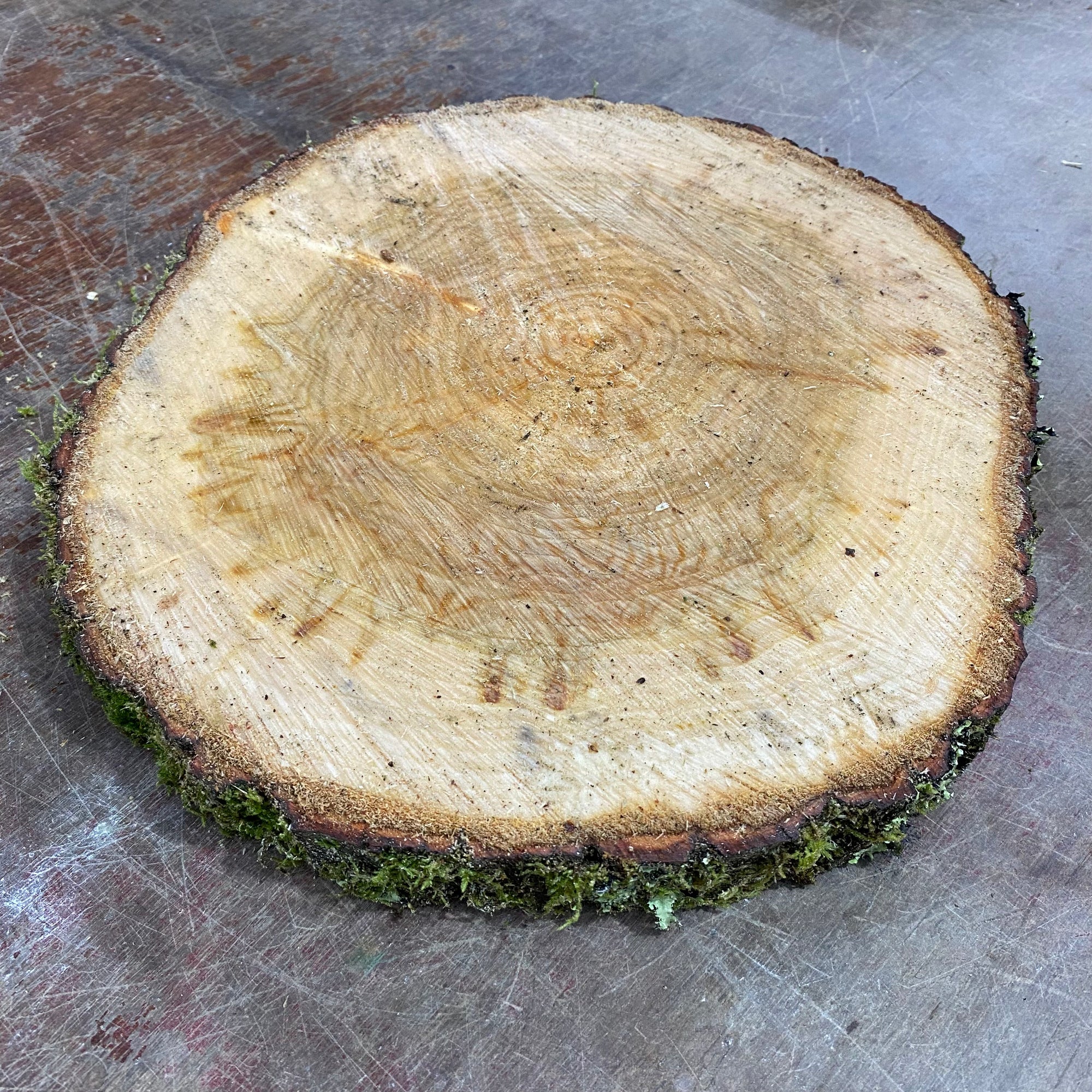 Wood Slices Wild (Round)