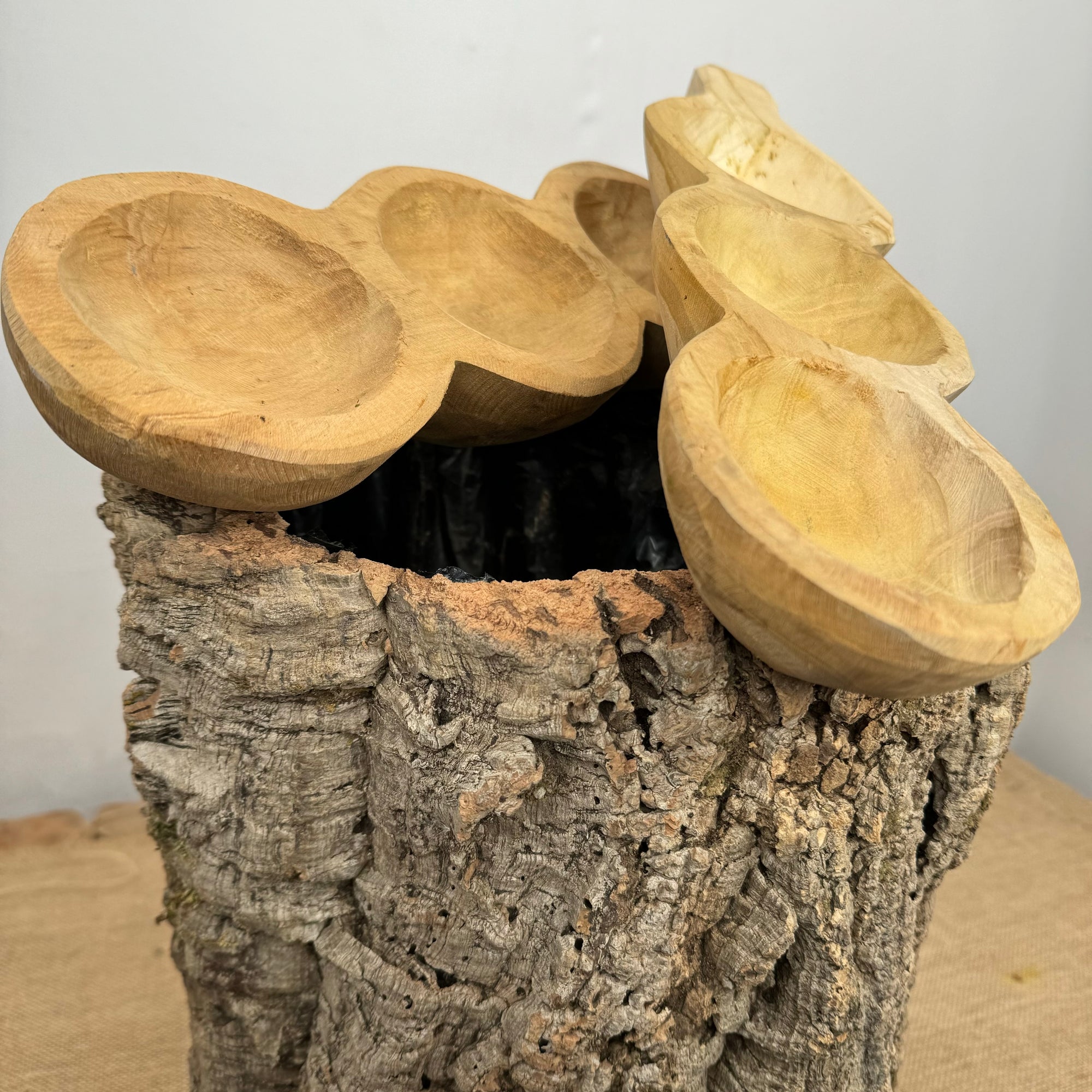 Teak 'Bowl' Dakon (3 Holes) (DRY) (H38cm x D11cm)