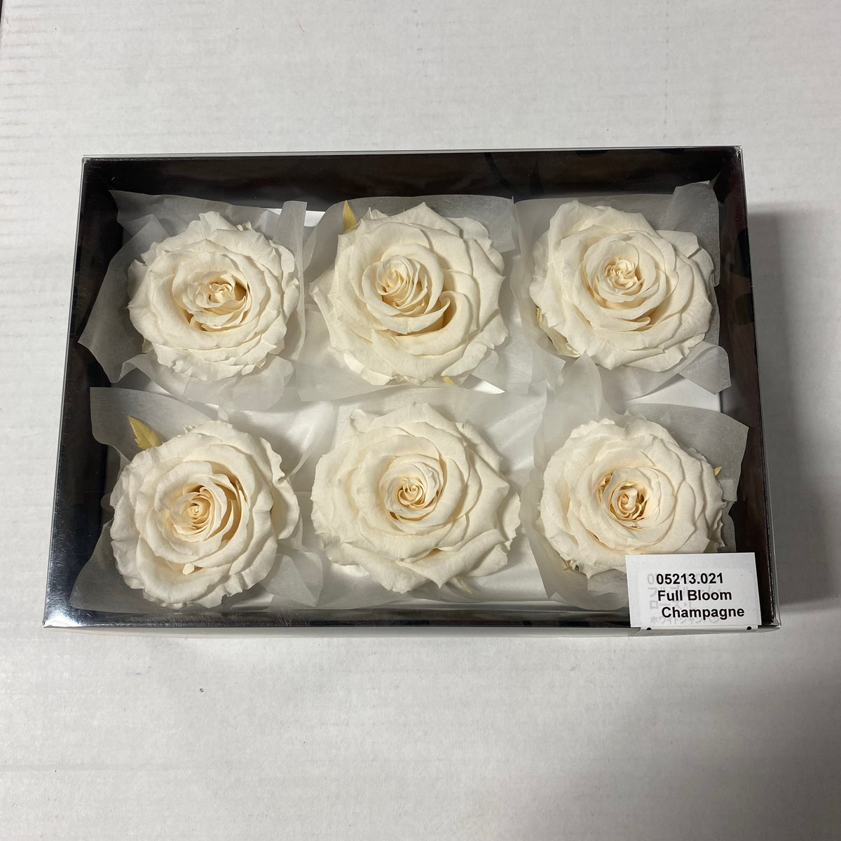 Rose Heads &#39;Preserved&#39; (Various Colours &amp; Sizes)