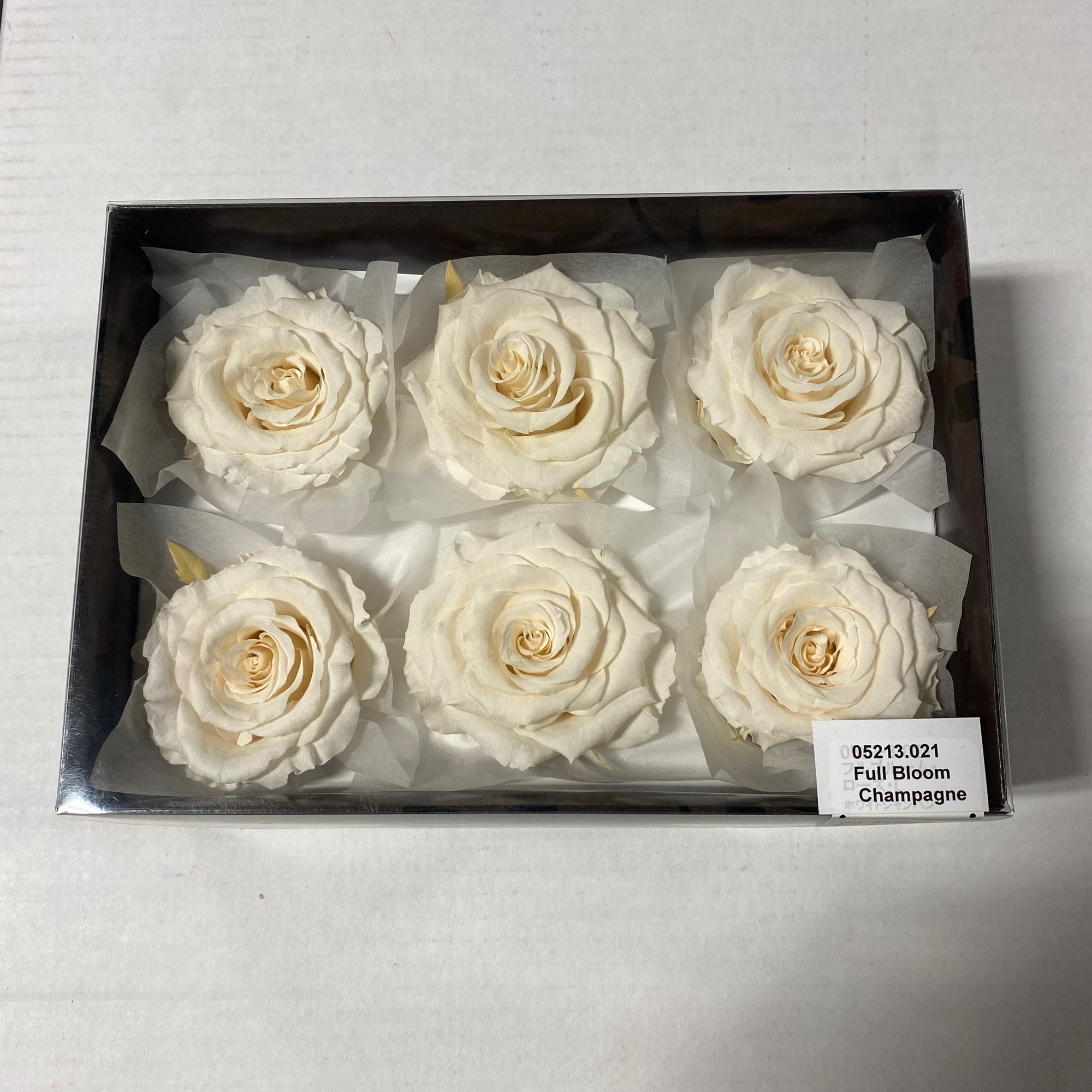 Rose Heads 'Preserved' (Various Colours & Sizes)