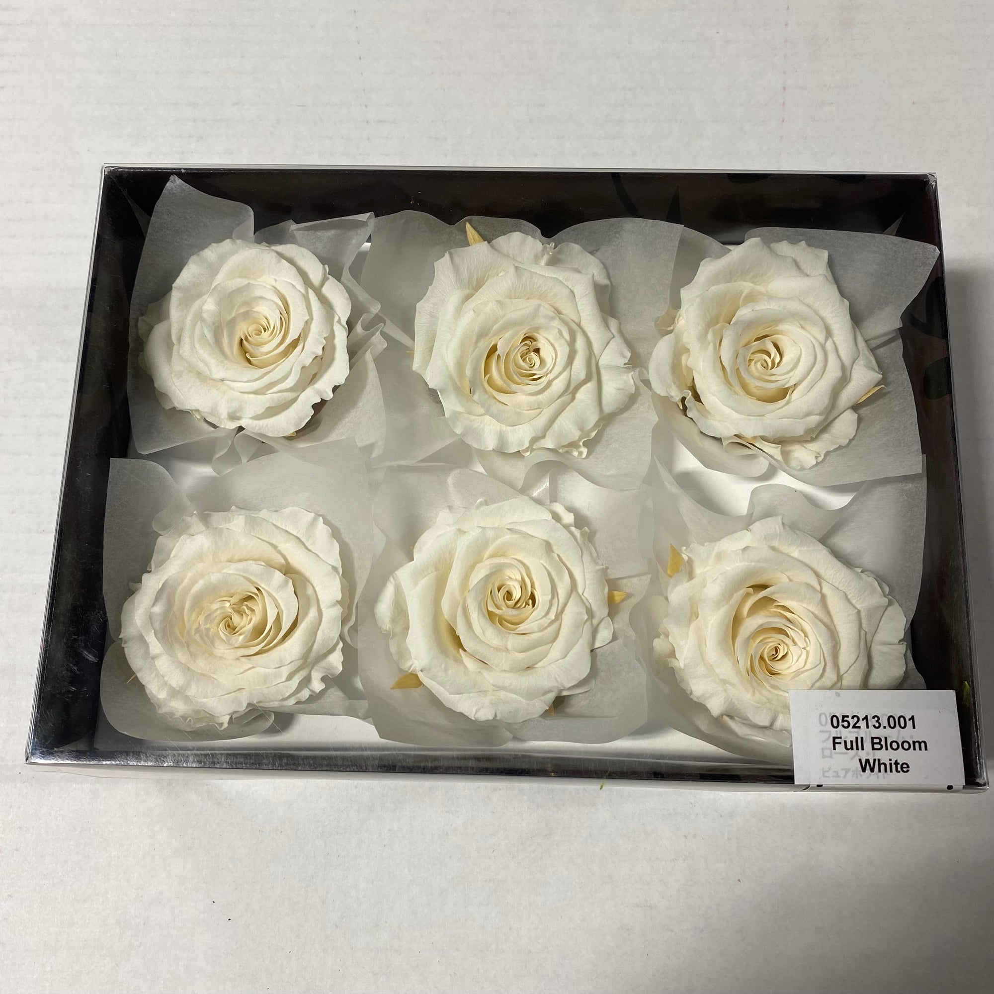 Rose Heads 'Preserved' (Various Colours & Sizes)