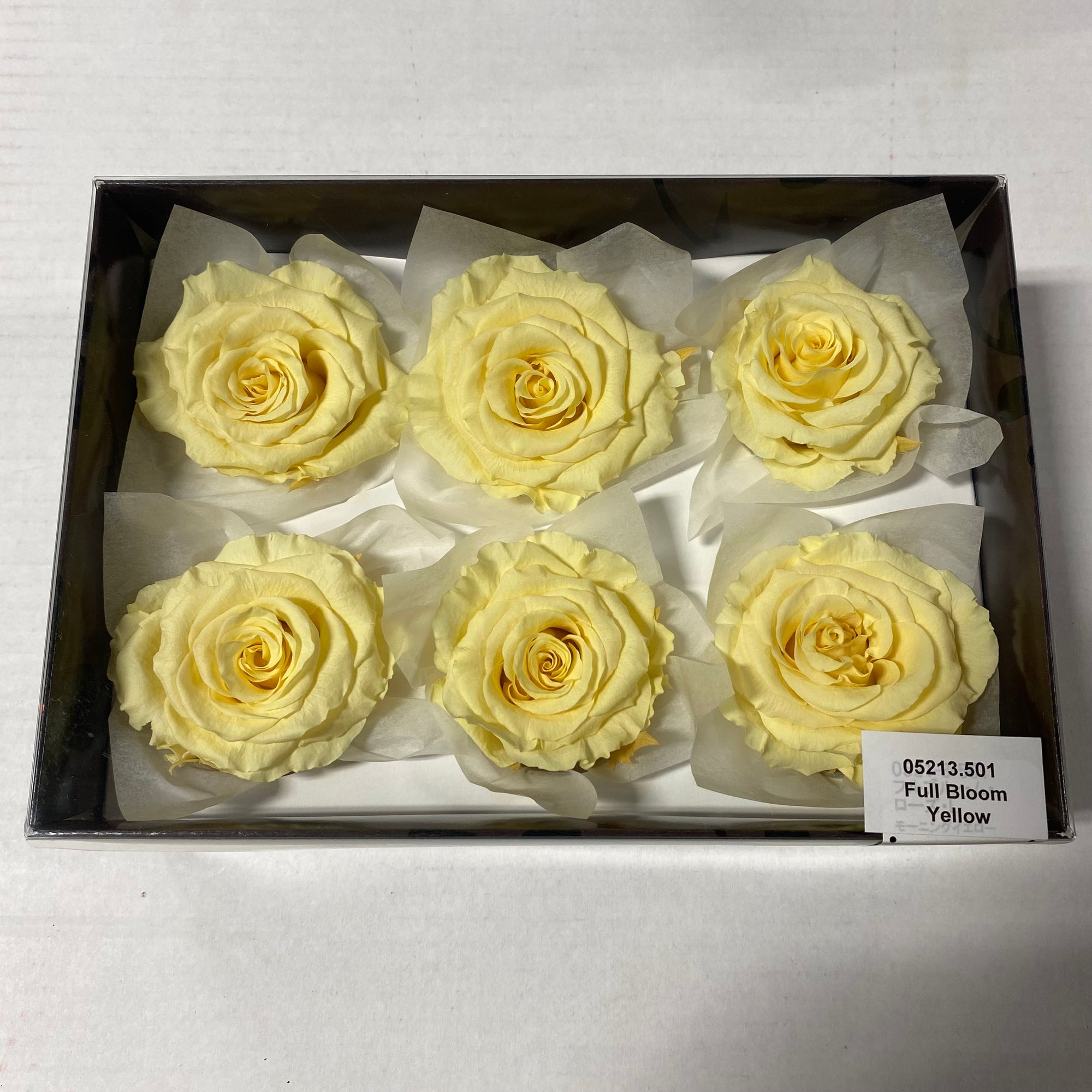 Rose Heads 'Preserved' (Various Colours & Sizes)