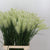 Grass Pennisitum 'Blondie' 70cm (x10)