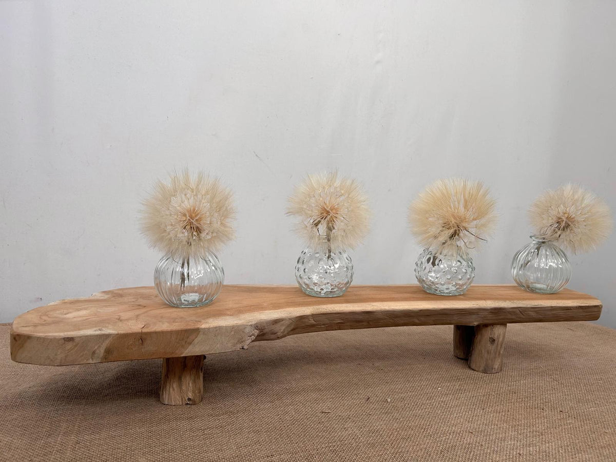 Dried Bleached Dandelion (Various Types)