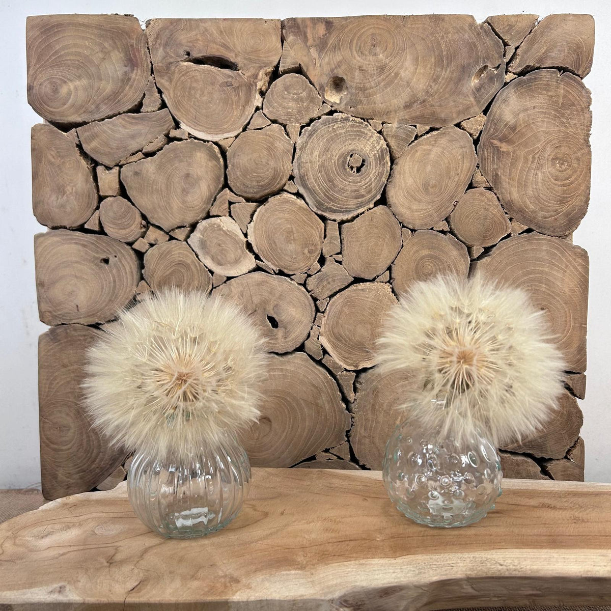 Dried Bleached Dandelion (Various Types)