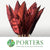 Strelitzia 'Leaves' Painted (Various Colours) (x10)