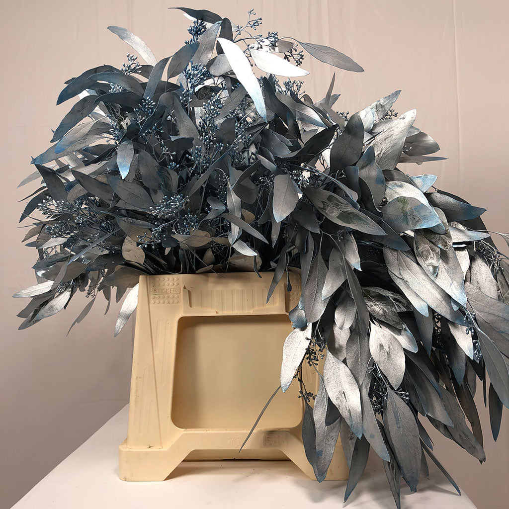 Eucalyptus 'Populus Berried' (Painted) (Various Colours) (200g)