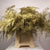 Fern 'Asparagus' (Painted) 45cm (Various Colours) (x50)