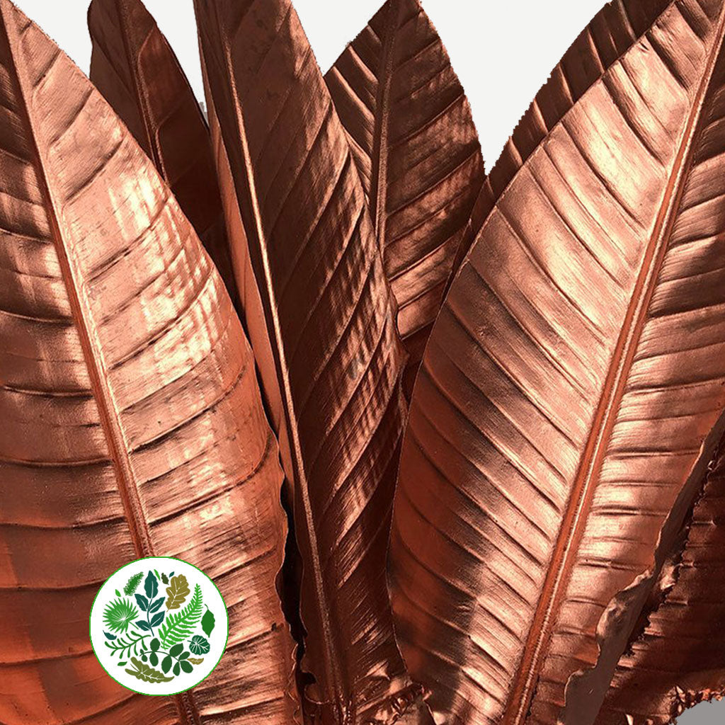 Strelitzia &#39;Leaves&#39; Painted (Various Colours) (x10)