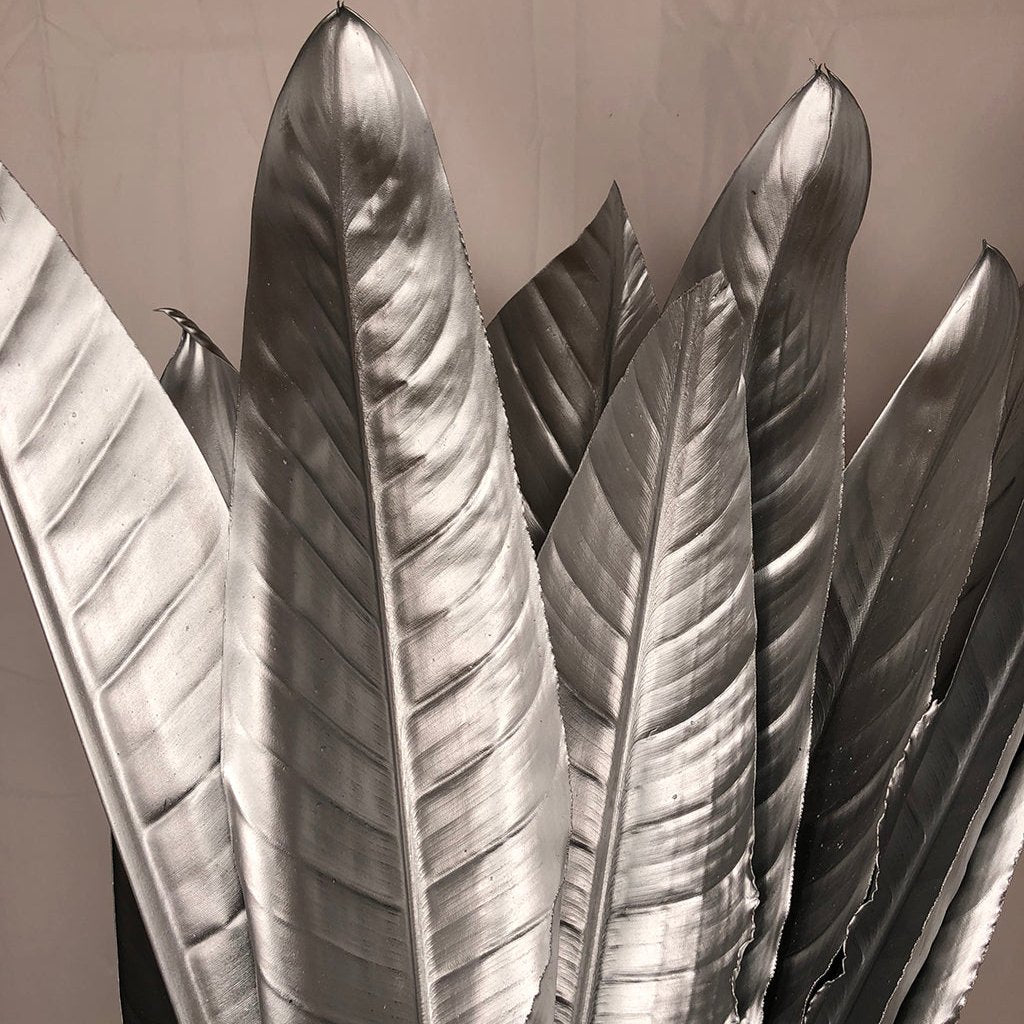 Strelitzia 'Leaves' Painted (Various Colours) (x10)