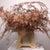 Fern 'Asparagus' (Painted) 65cm (Various Colours) (x50)