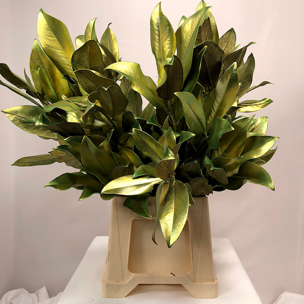 Magnolia &#39;Foliage&#39; (Painted Metallic) (Various Colours) 80cm (300g)