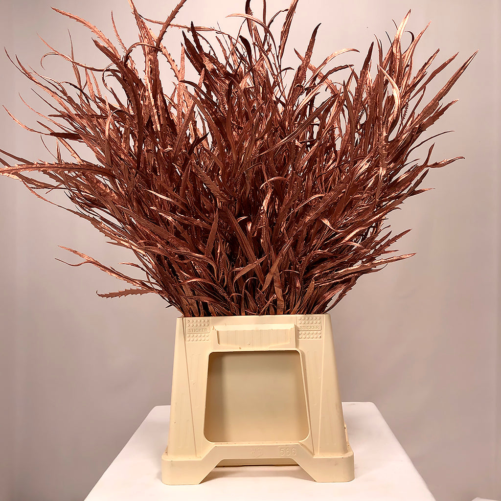 Grevillea 'Foliage' (Painted Metalic) (Various Colours) 80cm