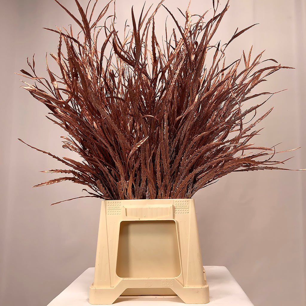 Grevillea 'Foliage' (Painted + Glitter) (Various Colours)