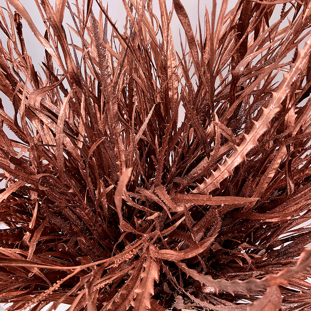 Grevillea &#39;Foliage&#39; (Painted + Glitter) (Various Colours)
