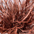 Grevillea 'Foliage' (Painted + Glitter) (Various Colours)