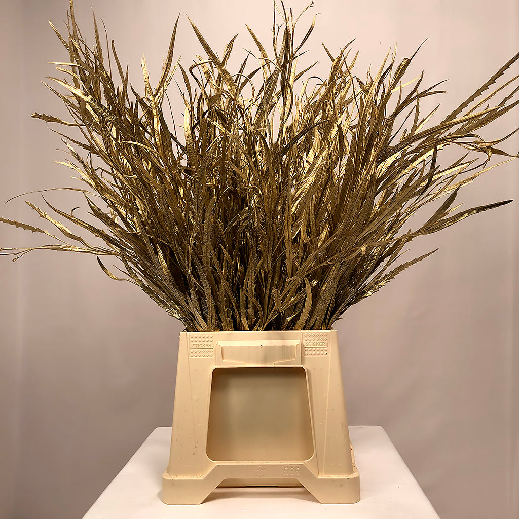 Grevillea 'Foliage' (Painted + Glitter) (Various Colours)