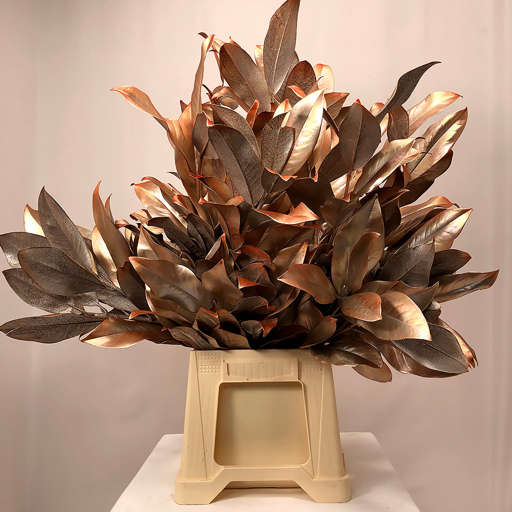 Magnolia &#39;Foliage&#39; (Painted Metallic) (Various Colours) 80cm (300g)