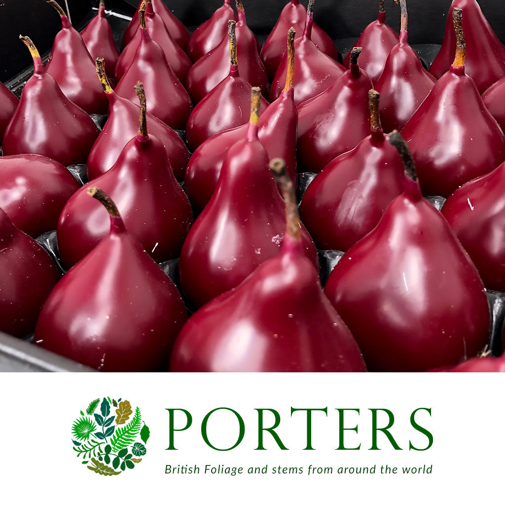 Waxed &#39;Pears&#39; (Various Colours) (x39)