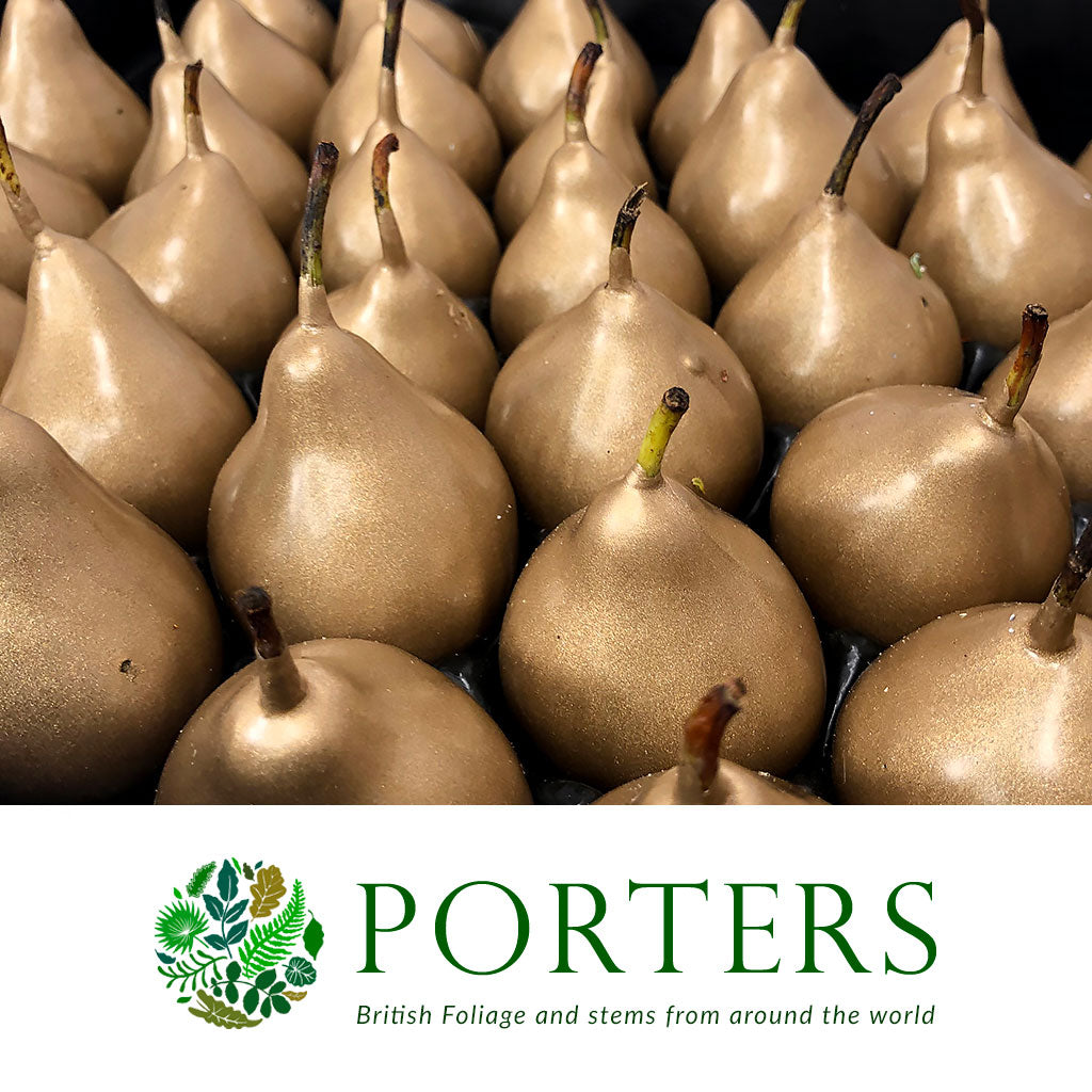 Waxed 'Pears' (Various Colours) 'With and Without Glitter' (x39)