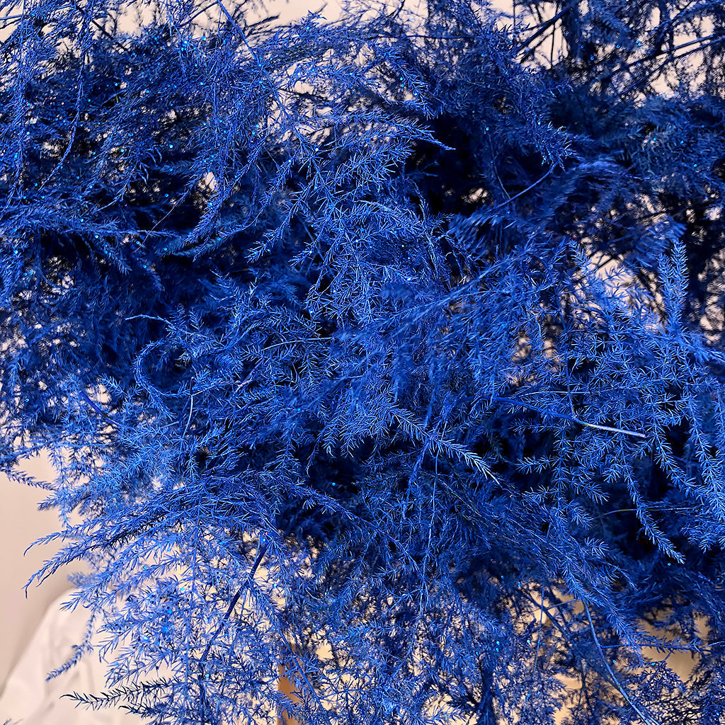 Fern &#39;Asparagus&#39; (Painted/Glitter) 65cm (Various Colours) (x50)