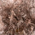Fern 'Asparagus' (Painted) 65cm (Various Colours) (x50)