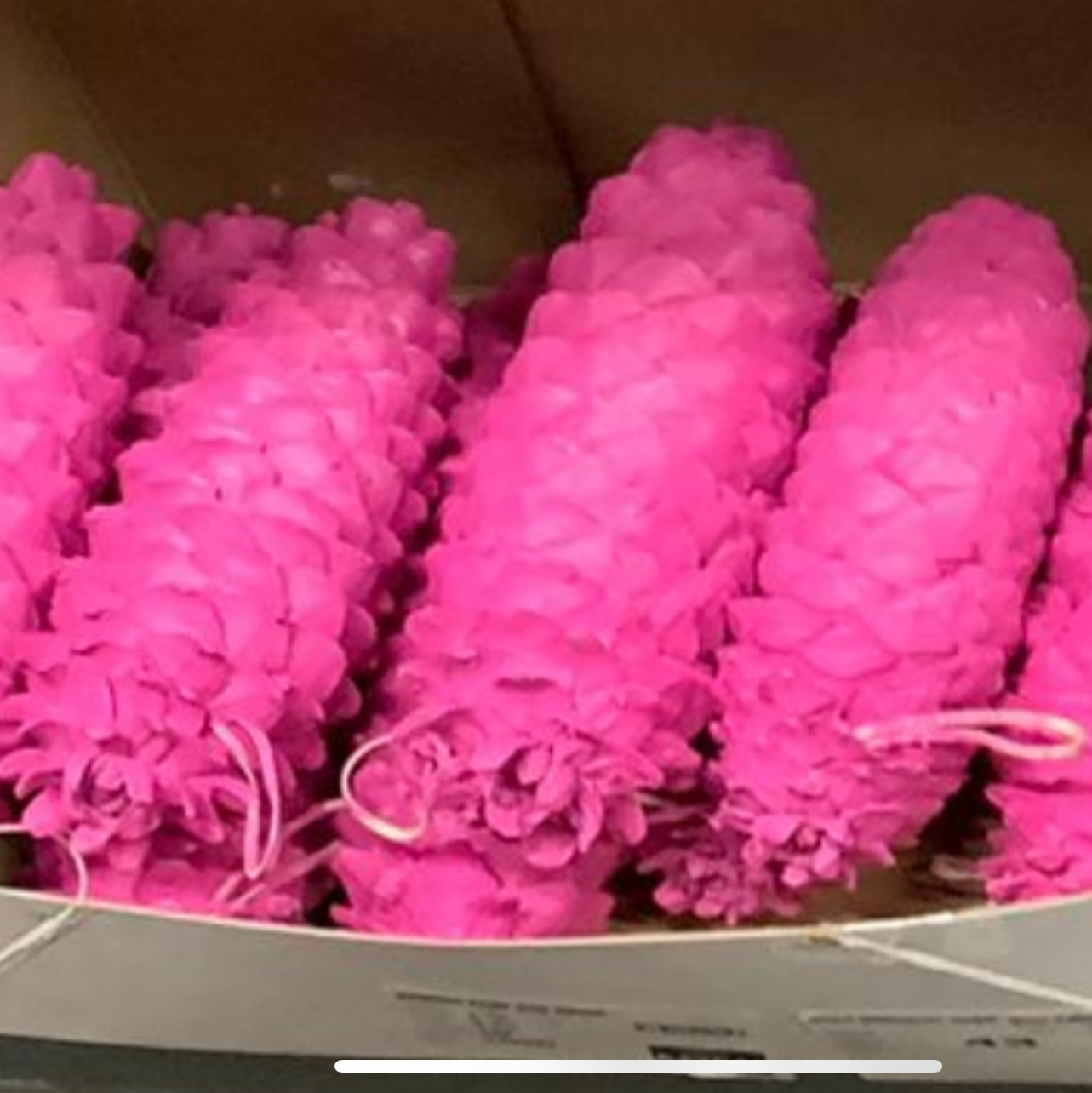 Cones 'Sugar' (Painted) (DRY) (Various Colours))