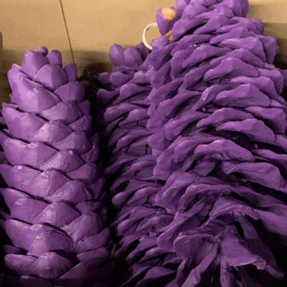 Cones &#39;Sugar&#39; (Painted) (DRY) (Large) (Various Colours))